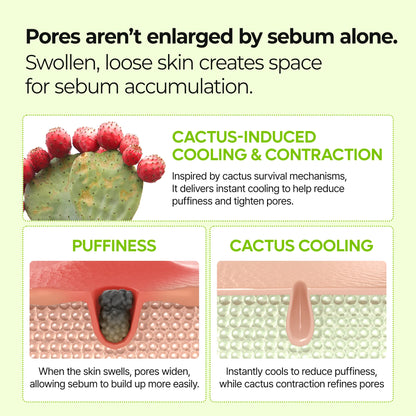 CACTOX Pore Relief Jelly Serum Mist
